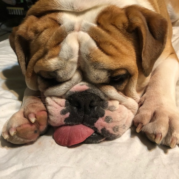 Meet your Posher, Tiffany - Picture 6 of 8